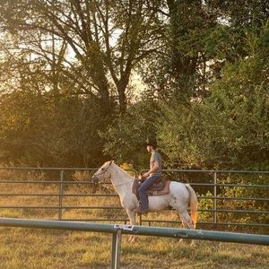 Meet your Posher, Jay